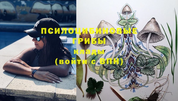 ПСИЛОЦИБИНОВЫЕ ГРИБЫ Армянск