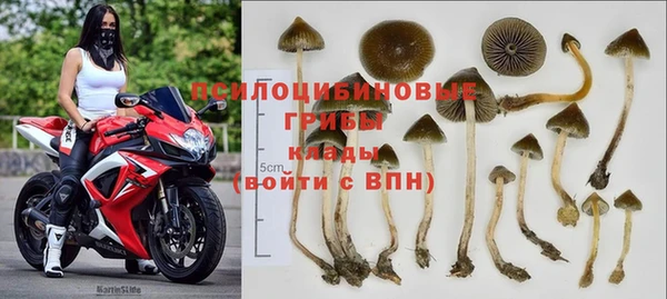 ПСИЛОЦИБИНОВЫЕ ГРИБЫ Армянск