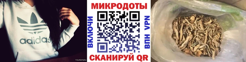 где купить   Исилькуль  Галлюциногенные грибы Psilocybine cubensis 
